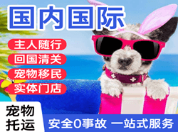 成都双流机场空运国际宠物托运 【国